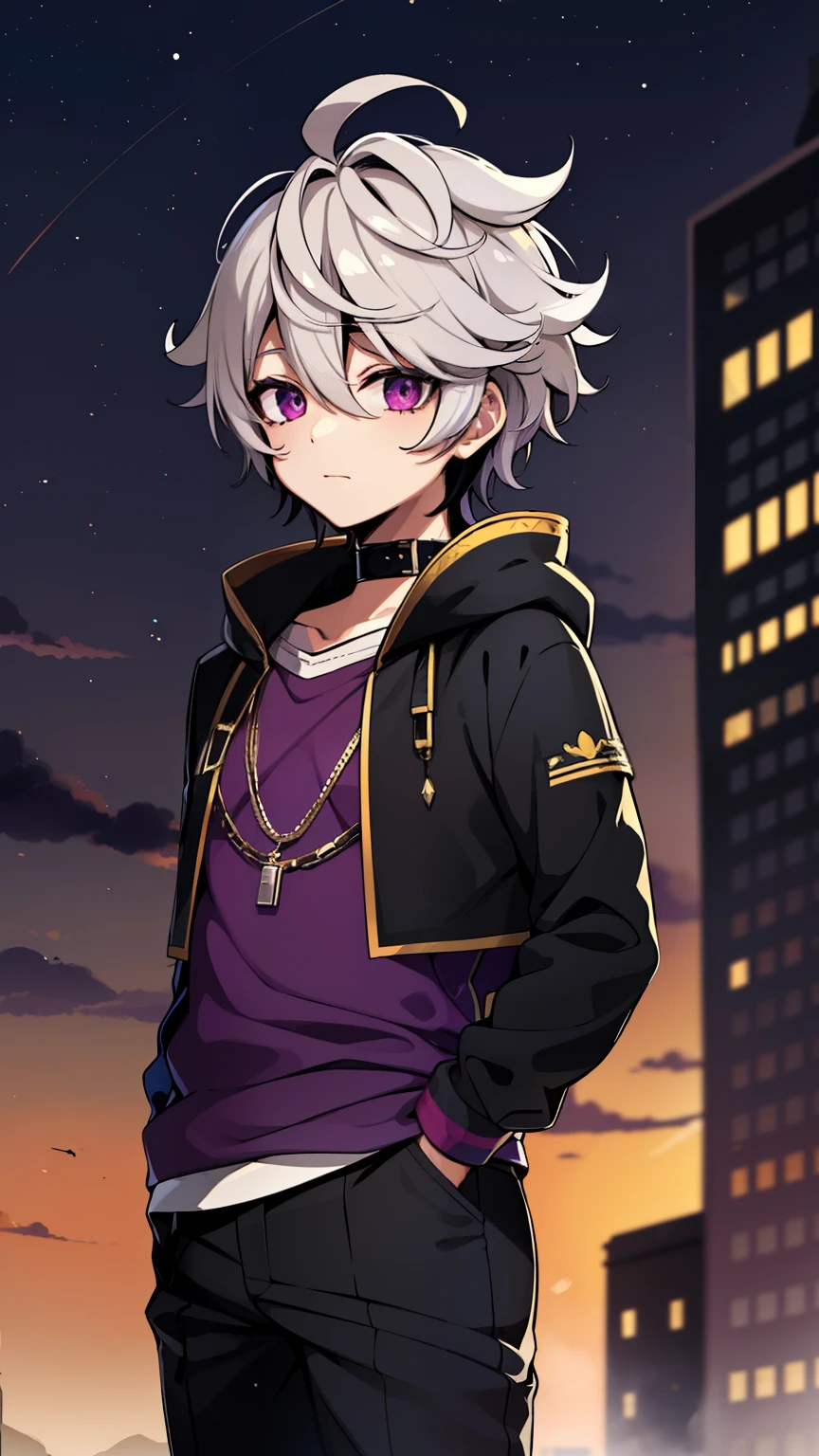 (high-quality, breathtaking),(expressive eyes, perfect face) 1male, male , solo, teenager, short hair length, wavy curly hair, messy hair, white and black hair color, multicolored hair, deep purple eye color, background, music, mature, haunting twilight background, slightly narrow eyes, hooded jacket, dark purple blue shirt, pants, modern attire, VFlower Vocaloid Male Version, spy x family art style
