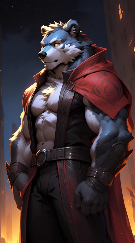 blaidd, in partial shadows, brown cape. brown robe, 4k, high resolution, best quality, perfect colors, perfect shadows, perfect lighting, posted on e621, furry body, bear, gray fur, blue skin, solo, male, adult, bare chest, masculine, (strong:1.2), correct anatomy, (photorealistic fur, detailed fur, epic, masterpiece:1.2), (dark fantasy world background, trees, black sky, night, cold), (by Taran Fiddler, by Chunie, by Traver009, by wfa:1.1), (black leather underwear, belt:1.2), (detailed eyes, golden eyes:1.2), (half body:1.1), serious face, strong posture, proud, soft shadows, looking at viewer, messy fur, gruff