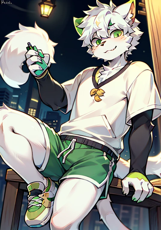 Bright Eyes, panoramic, Character Focus Solo, hairy, hairy male cat, Male light green white fur, green eyes, white hair , Wearing gray shorts and shorts, Casual Clothing, cute style, Height one meter six seven, Handsome, has a tail,Write homework