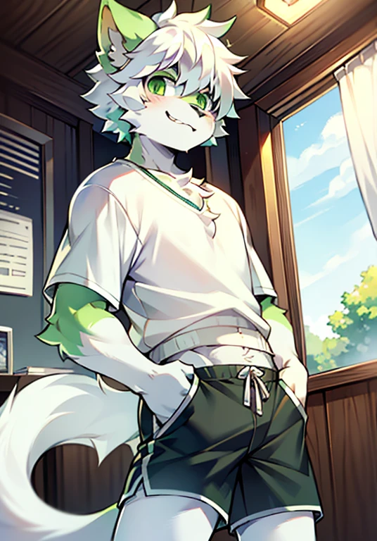 Bright Eyes, panoramic, Character Focus Solo, hairy, hairy male cat, Male light green white fur, green eyes, white hair , Wearing gray shorts and shorts, Casual Clothing, cute style, Height one meter six seven, Handsome, has a tail,Write homework