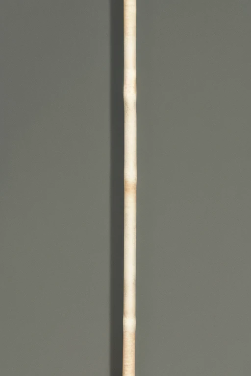 A slender white wooden stick