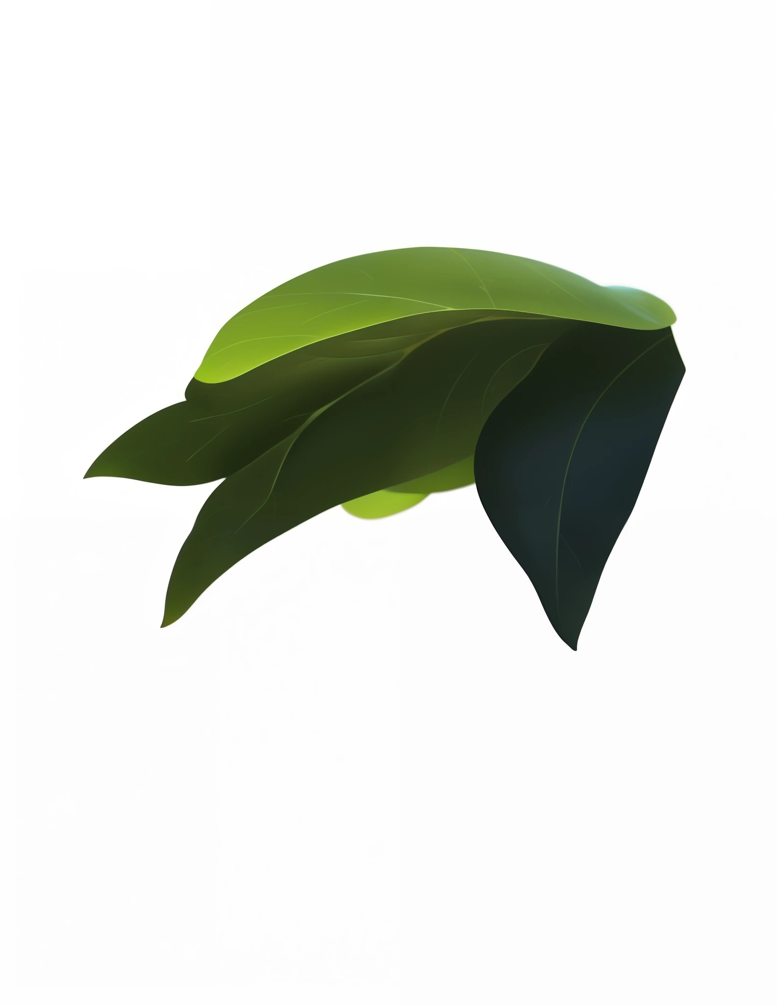 big leaves，thick leaves，Microcosm