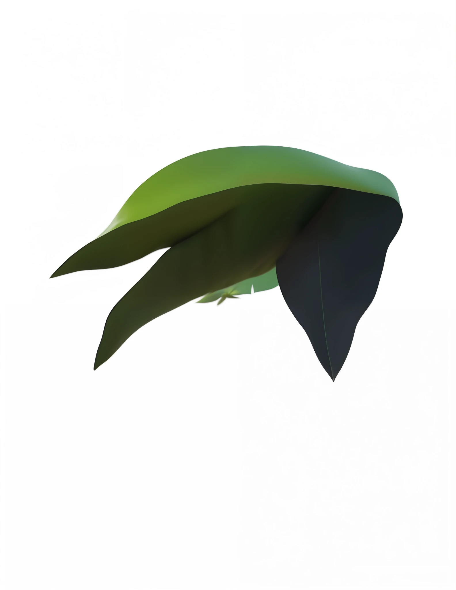 big leaves,thick leaves,Microcosm