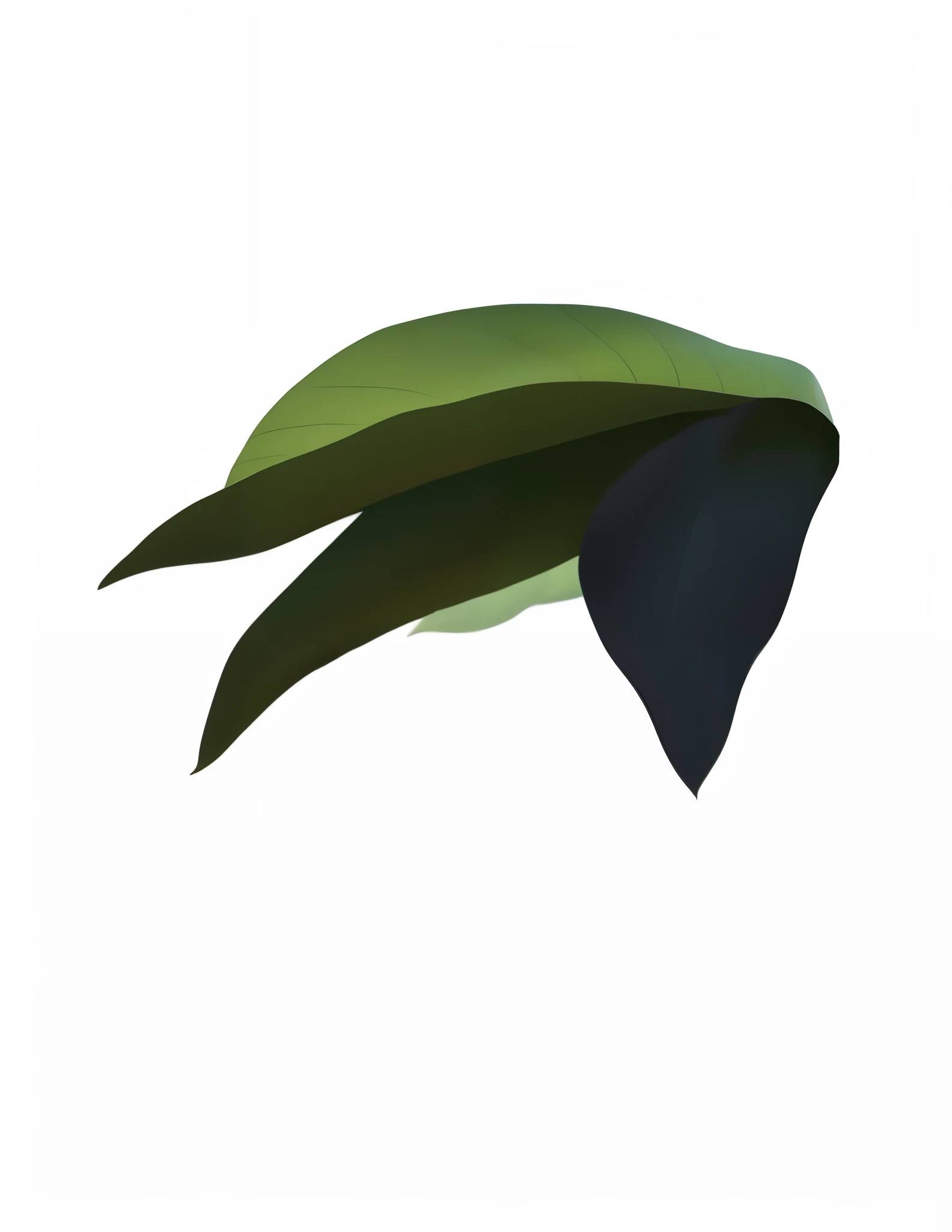 big leaves,thick leaves,Microcosm