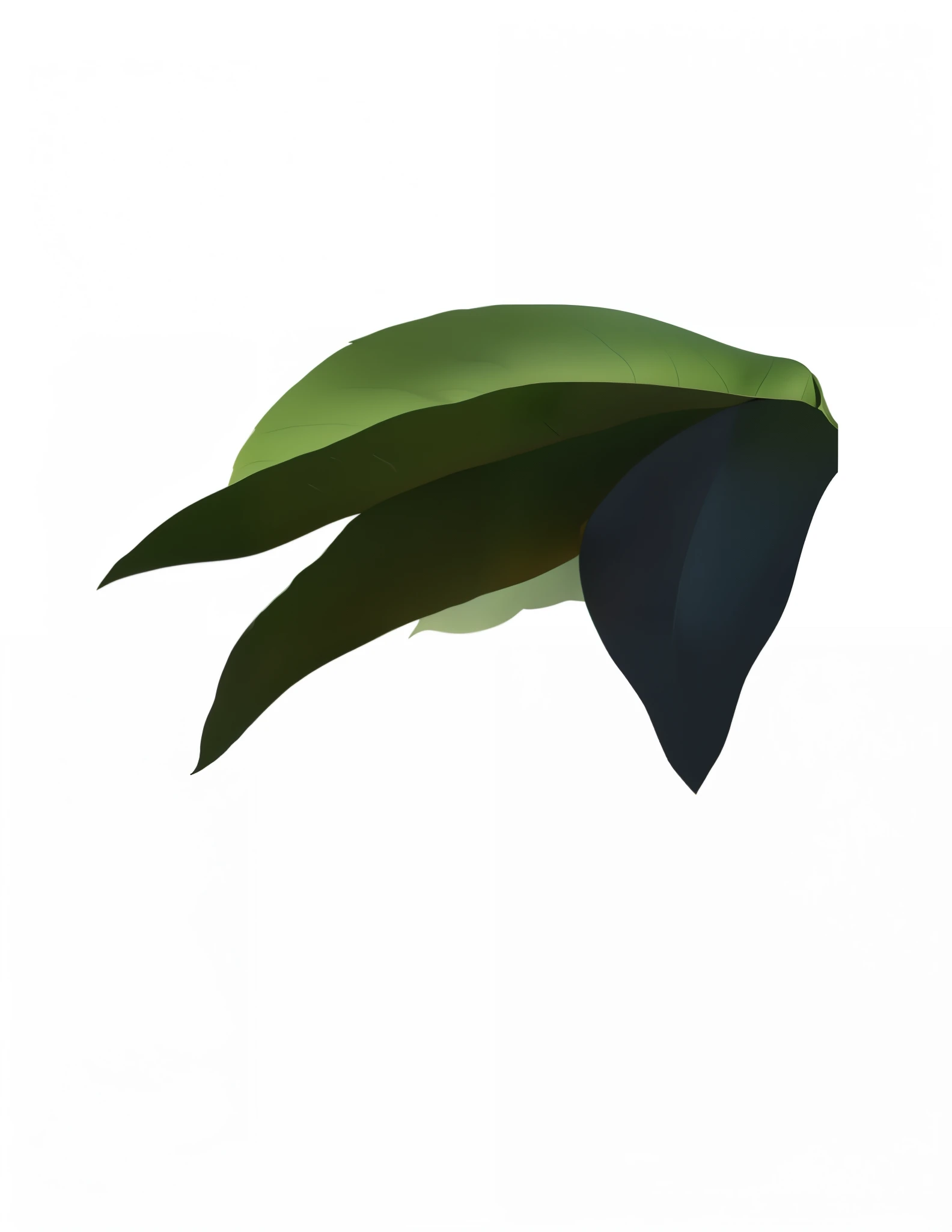 big leaves,thick leaves,Microcosm