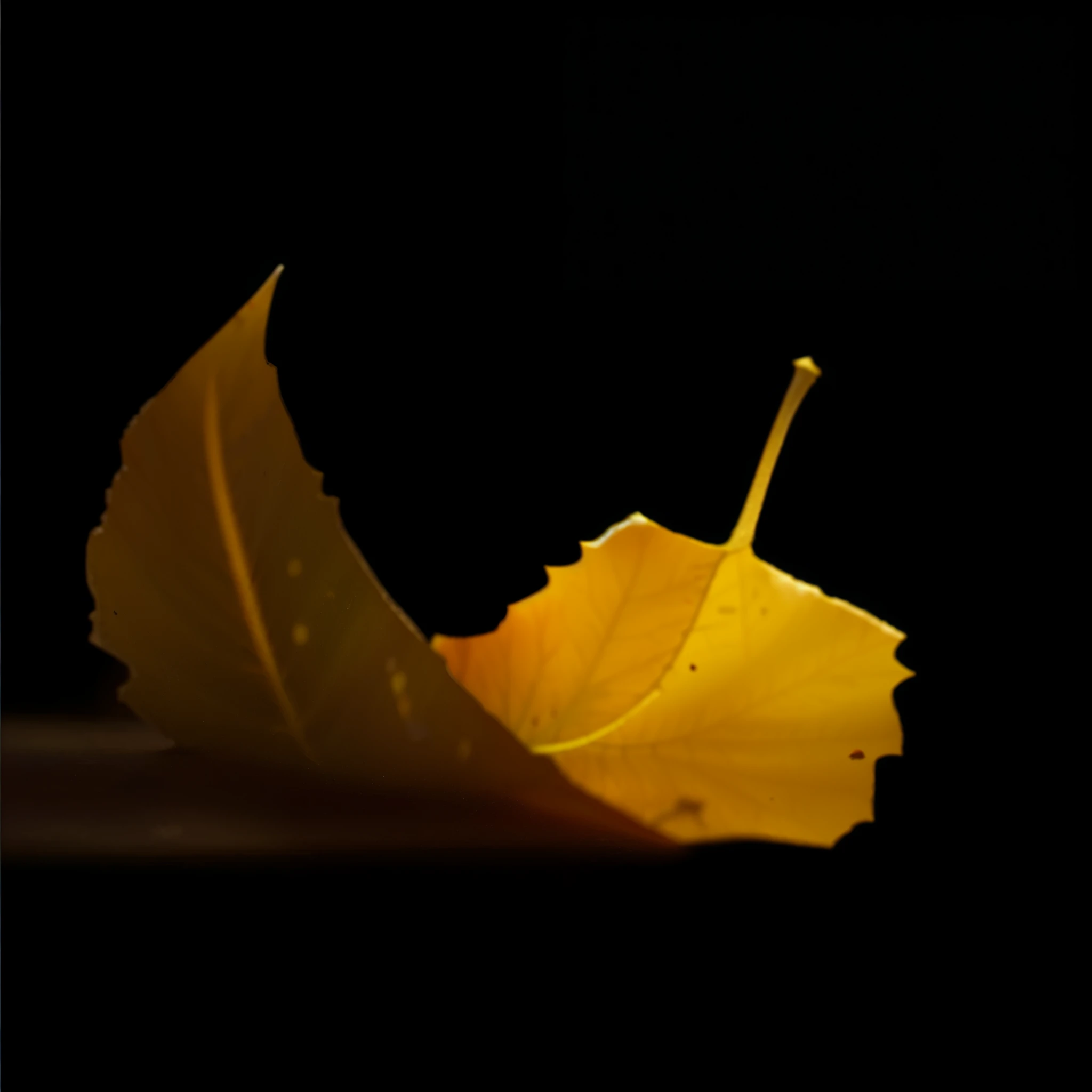 Realistic,Dead leaves on the ground