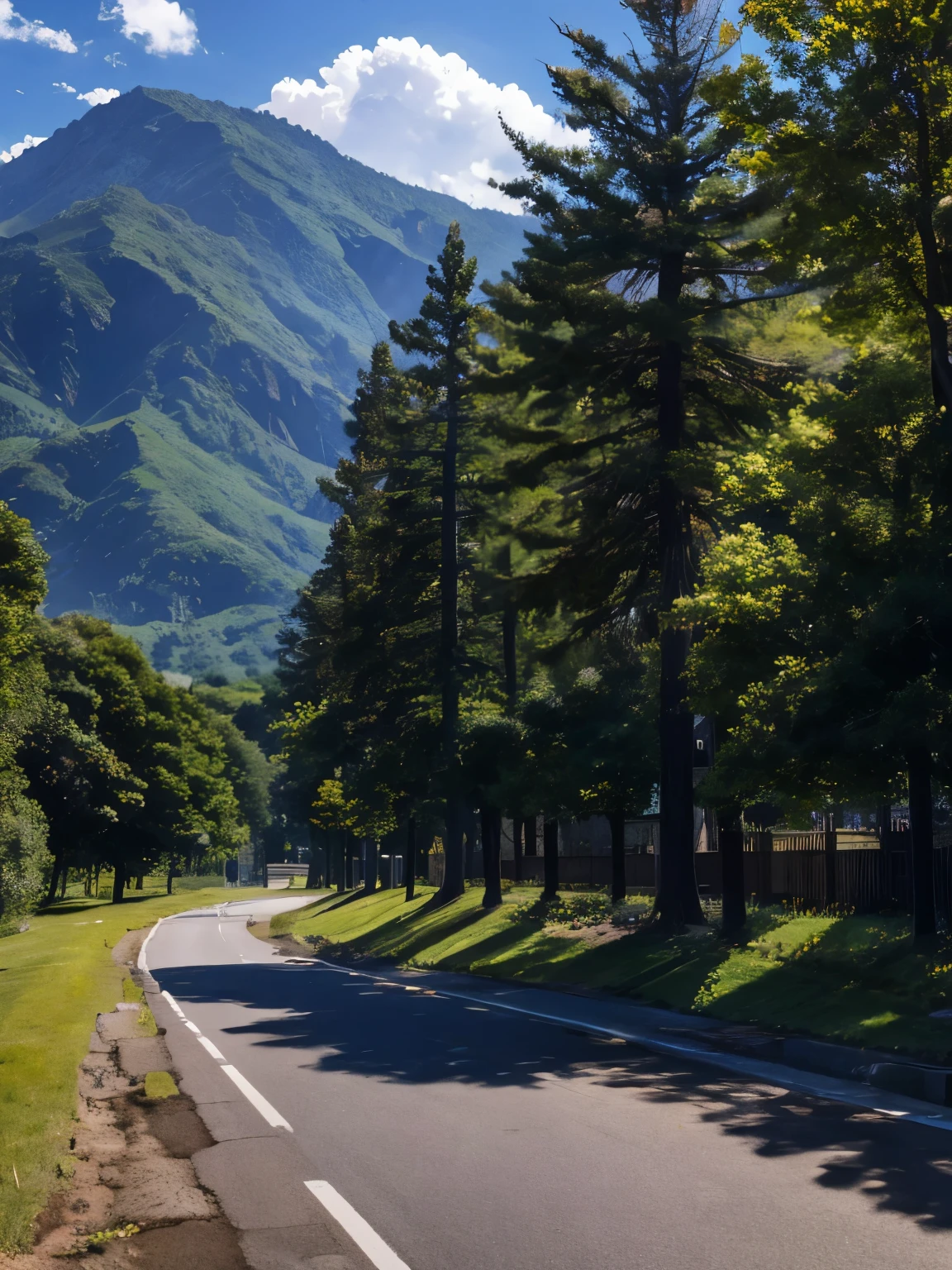 Tsuge、Roadside tree、lots of highlights