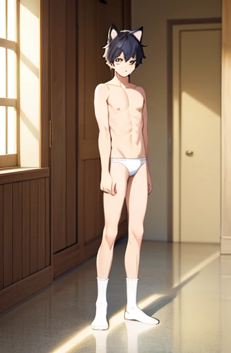 masterpiece, best quality, a boy, white socks,Shirtless,thin legs,long legs,standing,Cat ear