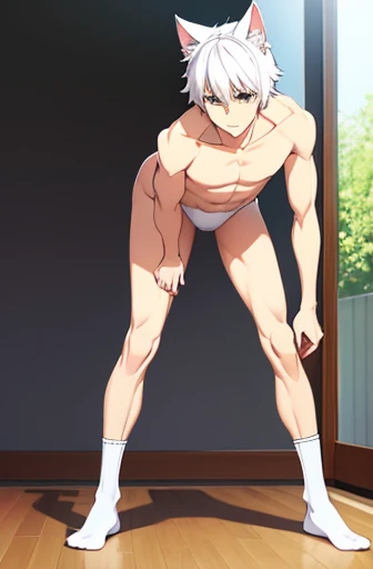 masterpiece, best quality, a boy, white socks,Shirtless,thin legs,long legs,standing,Cat ear,White hair,close shot