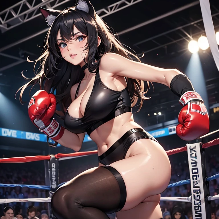 individual,Beauty,Realistic boxing gloves,Knee socks,Black fun underwear,sexy,Big breasts,long legs,cleavage,Boxing ring,sweating,8k,Super detailed,high quality,long hair,Cat ear