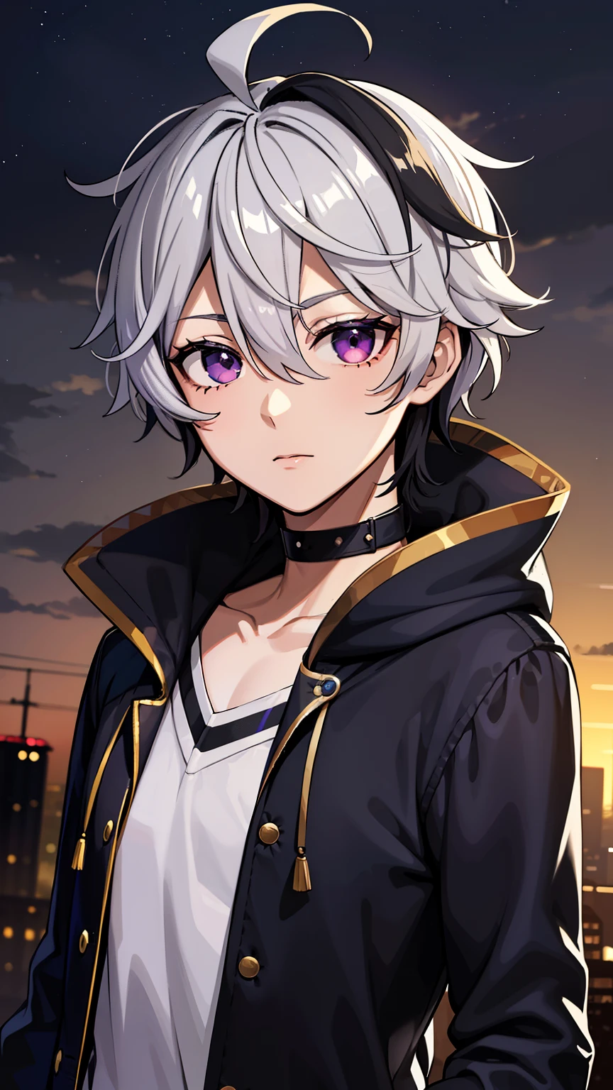 (high-quality, breathtaking),(expressive eyes, perfect face) 1male, male , solo, teenager, short hair length, wavy curly hair, messy hair, white and black hair color, multicolored hair, deep purple eye color, music, mature, haunting twilight background, slightly narrow eyes, hooded jacket, dark purple blue shirt, navy black pants, modern attire, VFlower Vocaloid Male Version, spy x family art style, masculine face, silver star necklace, detailed eyes
