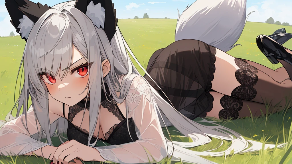anime, (masterpiece, best quality, ultra-detailed), (grassland background), (beautiful detailed face), high contrast, 1 girl (solo, lying on the grass, angry face, mature girl, slim body, (silver hair with black tips):1.1, long hair, high detail eyes, glowing red eyes, fox ears, (white negligee, black ))