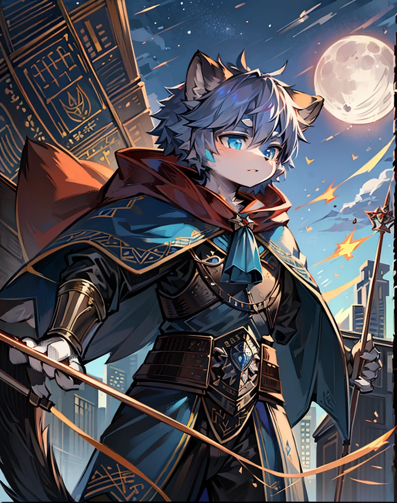 A raccoon,blue pupils,Wear armor,Shabby cloak,holding a long spear,站在city wall上,heavily clouded,flame,bow and arrows,long sword,Round ears,waving flag,flame of war,moon,A serious look,Look into the distance,city wall