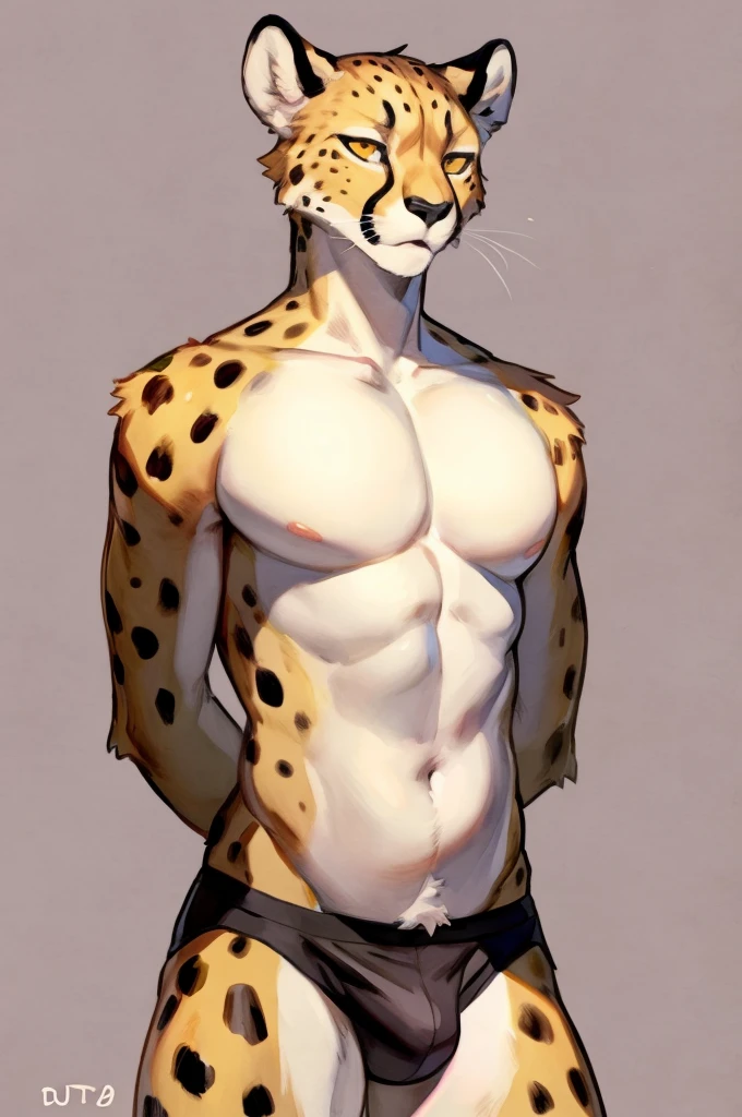 Solo, Furry, Anthro, Cheetah, Male, E621, Standing, Hands behind back, Wearing underwear, Simple background, Front view, by buta99, by bebebebebe, by chelodoy, by inu-sama
