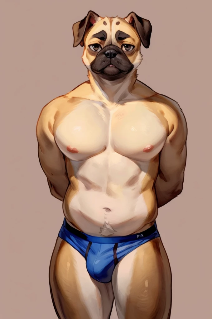 Solo, Furry, Anthro, Pug, Male, E621, Standing, Hands behind back, Wearing underwear, Simple background, Front view, by buta99, by bebebebebe, by chelodoy, by inu-sama