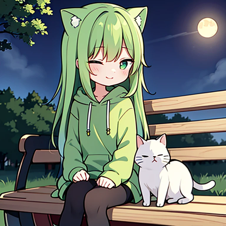 Kemono Furry green hair green tail Blue eye Sex white Body