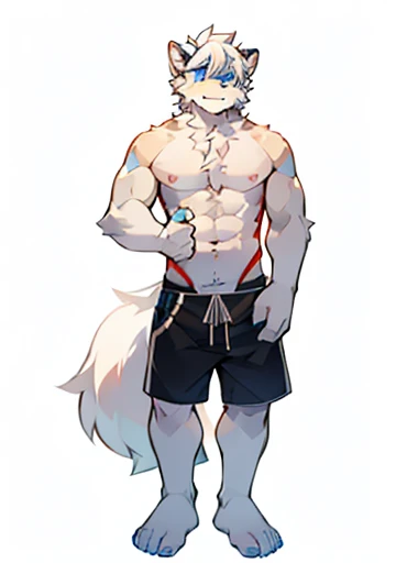 hairy male, Full body fur, furry tail, White-haired boy, Lovely, blue eyes，shy，Short swimming trunks，stare，barefoot