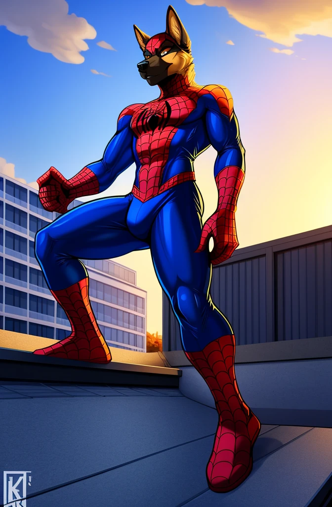 4k resolution a black and tan german shepherd wearing red and blue bodysuit spiderman spandex costume, detailed bulge, by krazykurt, at a rooftop