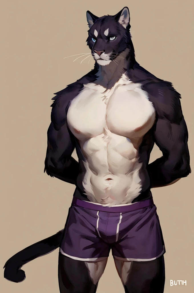 In the style of chunie, e621, anthro, male, raccoon, erection, , chunie, raccoon, sweaty, solo, black body,