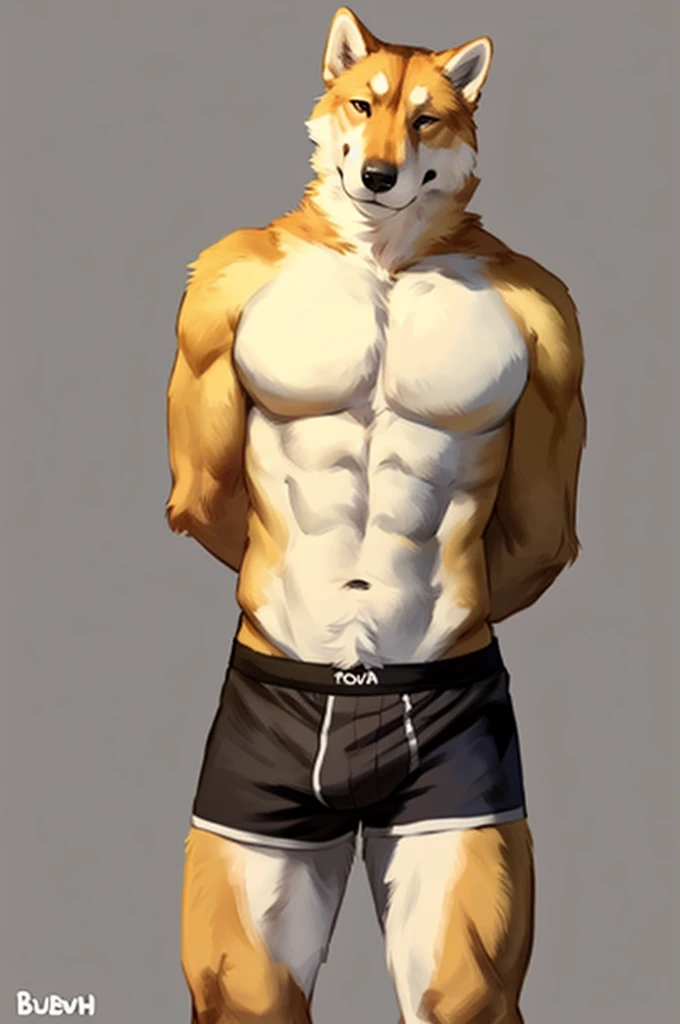 (solo,furry,anthro),male,standing,front view, muscular body, simple image background, Shiba,wearing boxer shorts, hands behind back, by bebebebebe:1.2,by buta99,by foxovh,by ruan jia
