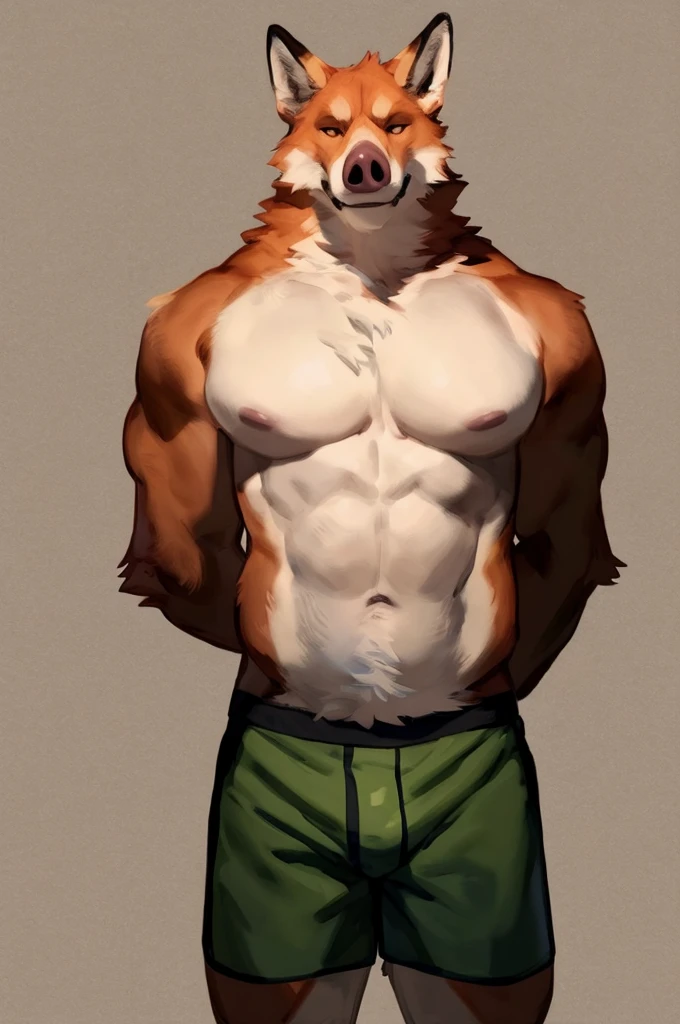 (solo,furry,anthro),male,standing,front view, muscular body, simple image background, Pig,wearing boxer shorts, hands behind back, by bebebebebe:1.2,by buta99,by foxovh,by ruan jia