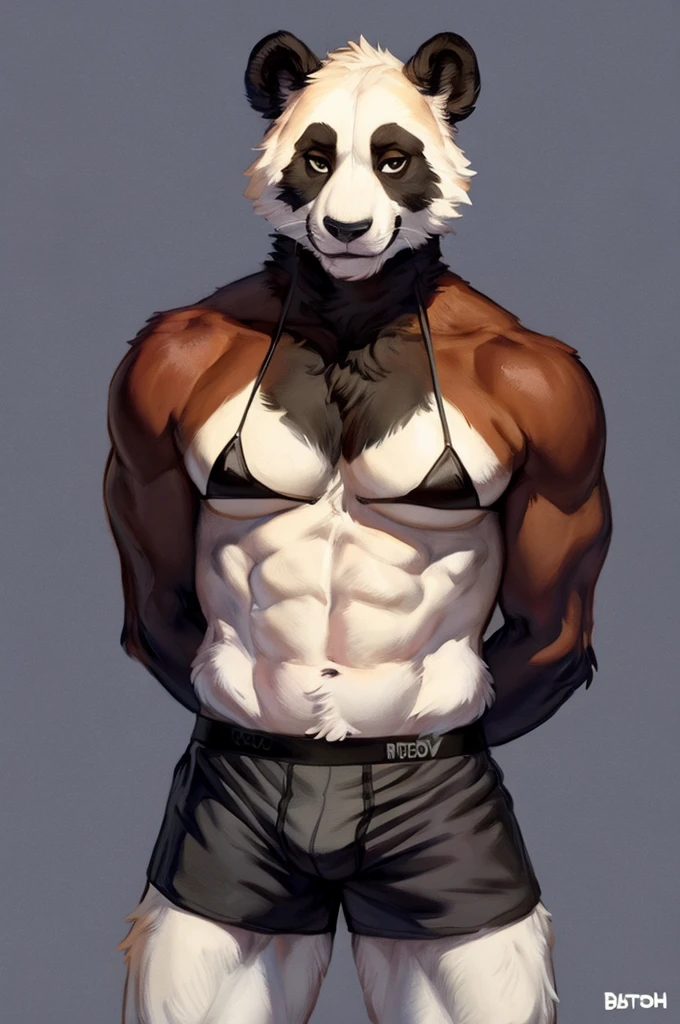 Badger, male, pose, sexy, full body,