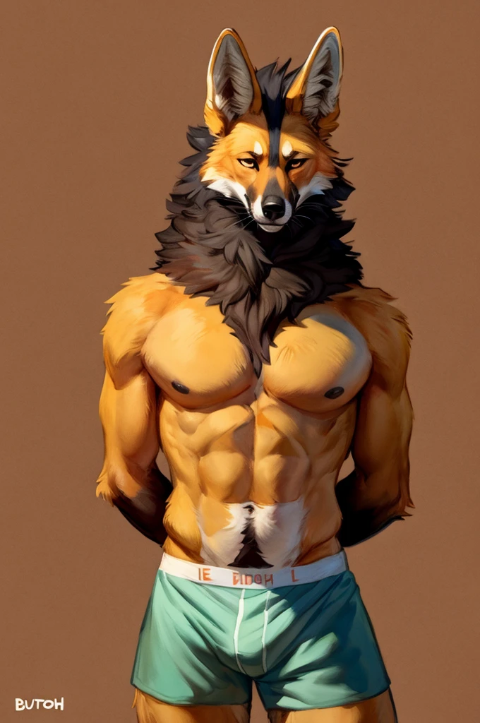 Solo, Furry, Anthro, Maned Wolf, Male, E621, Standing, Wearing Bikini, Wearing Boxer Shorts, Muscular Body, Front view, Hands behind back, Simple image background, by bebebebebe, by foxovh, by chelodoy, by butterchalk