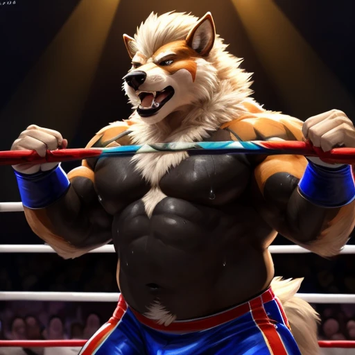anthro Arcanine, wrestler, 4k, high resolution, best quality, posted on e621, (solo:1.1), anthro body, male, adult, very masculine, (very muscular, heavyweight:1.2), correct ???????, (show wrestling background, wrestling ring), (by wfa, by chunie:0.8), (by Taran Fiddler:1.0), (detailed eyes:1.2), (watercolors:1.0), (tight show wrestling pants, bare chest:1.0), (black stomach, black chest:1.2), serious face, open mouth, (sweat:1.2), strong pose