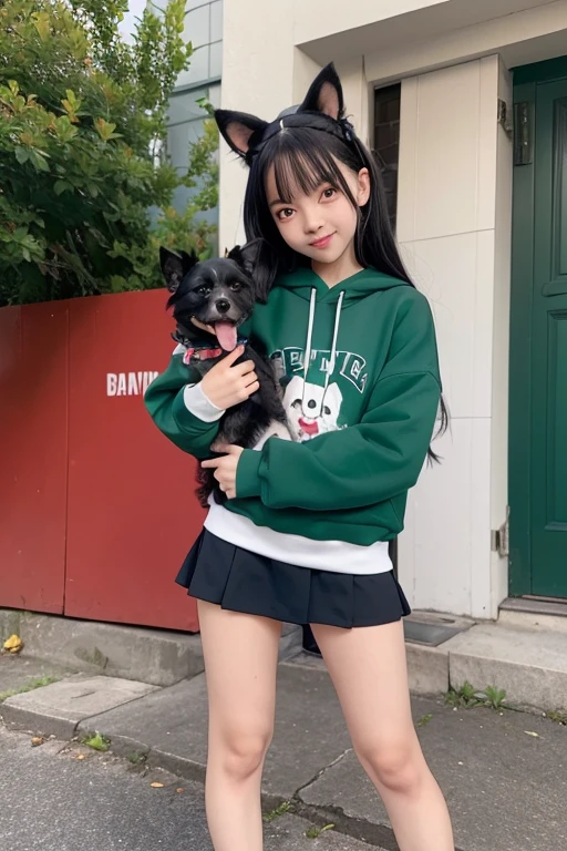 1 girl,whole body, medium black hair, red eyes, green eyes, dog ears, dog ears, gray sweatshirt, :3, Small fangs,mini skirt,Holding a dog,red sneakers,