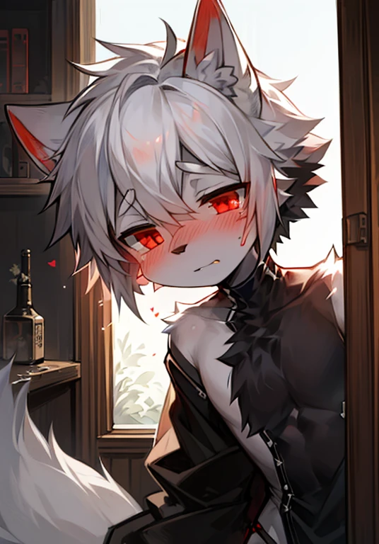 a boy, Wolf, white fur, juvenile, red eyes, messy hair, Black and white hair, short hair,White ears,Caudas Brancas,black nose,masterpiece, Very detailed,blush,sexy