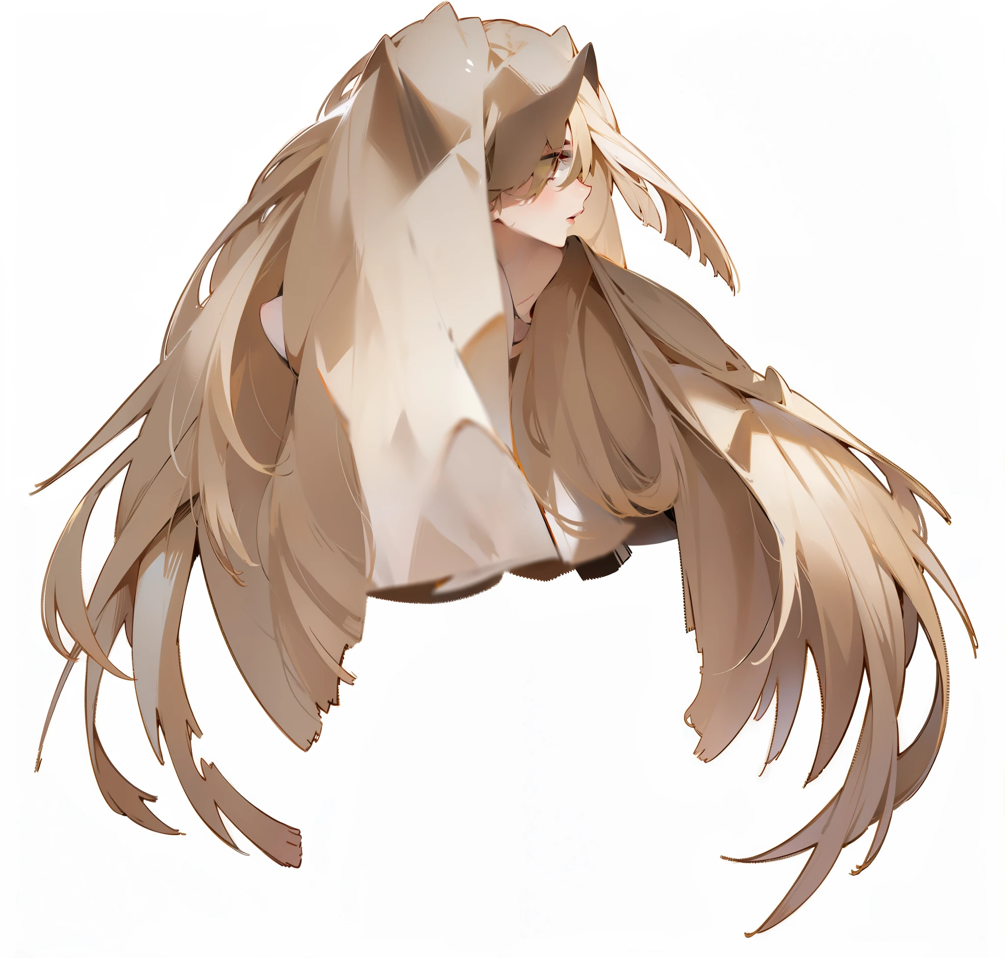 Delicate long blonde hair,