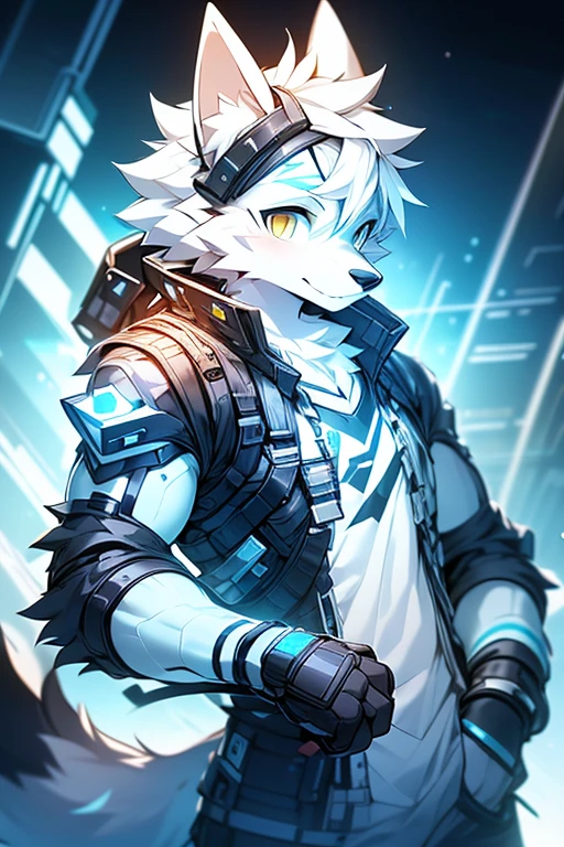 zorro blanco eyes, gray fur, grey tail, bleeding white ears - green eyes, muscle tissue, male people, of the standing ears of animals , Whole body, eyes, blue dye, Is shy, collar, Transparent swimsuit, )black shirt with marked pectorals white pouring jacket light blue pectorals black schots and a necklace with a mini star age 20 years wide body furry cheerful INFORMATION