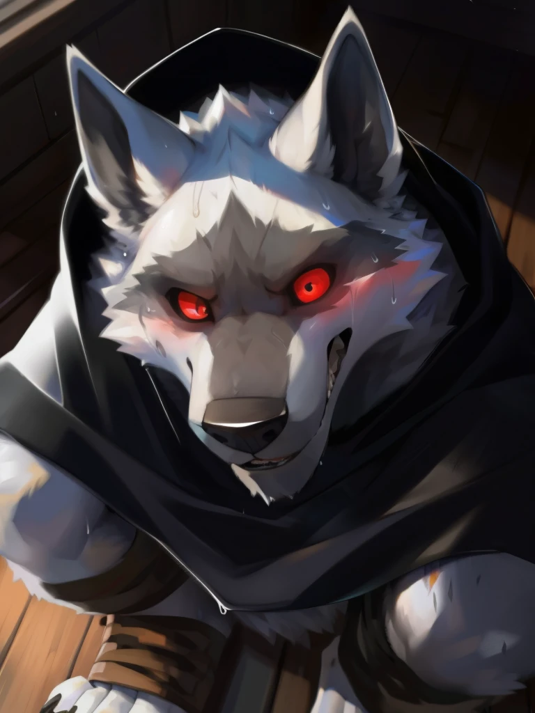 deathwolf, 1boy, solo, colored sclera, red eyes, black cloak, white fur, full body, anthro, (worried expression), high angle, up close to camera, eye contact, looking at camera, knocked down, sitting on floor, bloody, bruised, beat up, trembling, tears in eyes, masochist, exhausted, worried, painful, pained expression, pain, submissive, scary, hit marks on face, scratches, weak, shaking, extreme pain, bloody nose, male, muscular, muscular anthro, (sweat:1.4), muscular male, aged up, hi res, (bottomwear:1.2), 8k hd, extreme detail, detailed background, bedroom, wooden floor, rustic, dark, night, no lights, lights off, cold lighting, moonlit, indoors, by Pino Daeni, (by ruaidri), by virtyalfobo