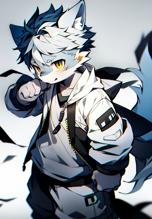 Wolf，gray hair and pupils，and white coat color，Lovely，Lively，horny boy，,Wear a white patterned sweatshirt，Lively可爱，shorter pants, Wind element，hairy