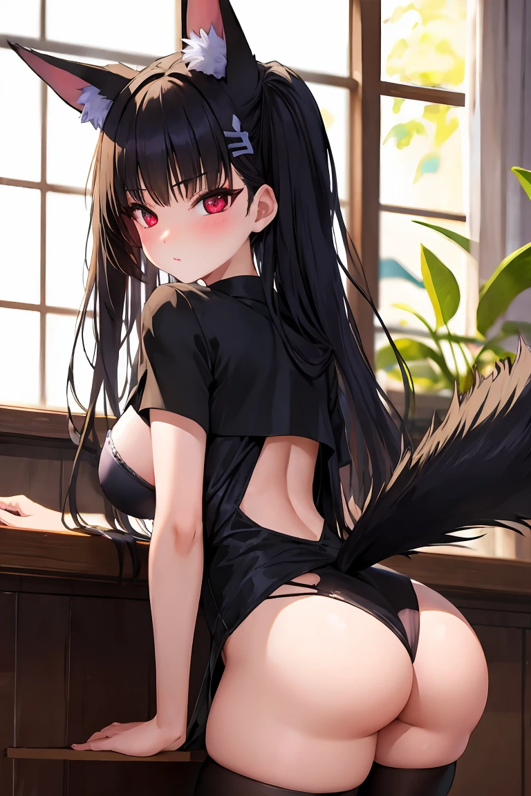 Has black leathery tail，Succubus Japanese high school girl with black fox ears。