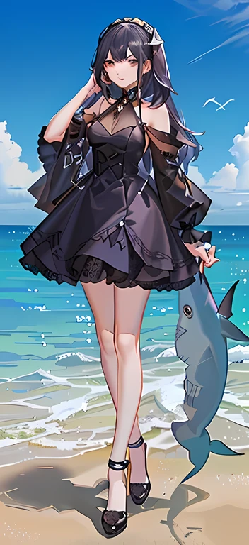 evening dress,Miss,Black Shark Girl
