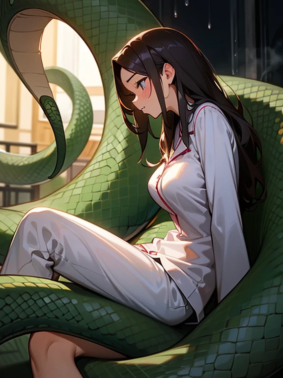 1girl, solo, (18-year-old), dark hair, long hair, bedroom bed in background, pajamas, white pajamas, sitting,spread my legs, (large breasts), cute,shy, blush, parted lips, (snakes 1.5), (anaconda), (big snake), (coiled snake),(Girl coiled by a snake), night, ((Side angle)), looking away, flustered face, surprised face ,wet skin, steam, best quality,detailed,high resolution,
