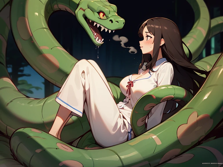 1girl, solo, (18-year-old), dark hair, long hair, bedroom bed in background, pajamas, white pajamas, sitting,spread my legs, (large breasts), cute,shy, blush, parted lips,  (snakes 1.5),(surrounded by snakes), (anaconda), (big snake), (coiled snake:1.0),coils, (Snakes entangled with girls:1.0),night, ((Side angle)), looking away,face to face,  flustered face, surprised face ,wet skin, steam, best quality,detailed,high resolution,
