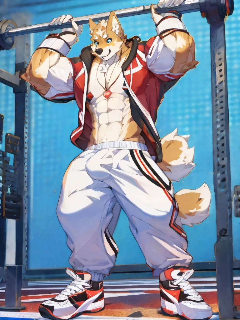 Ultra-clear，A Shiba Inu Fury wearing a see-through Nike tracksuit，in the gym，muscle strong，translucent white bulge，Confident laughter，soft light，Standing and looking straight up, you can see your whole body，nike socks，strong muscle，Dirty socks thrown on the floor，Hot gas