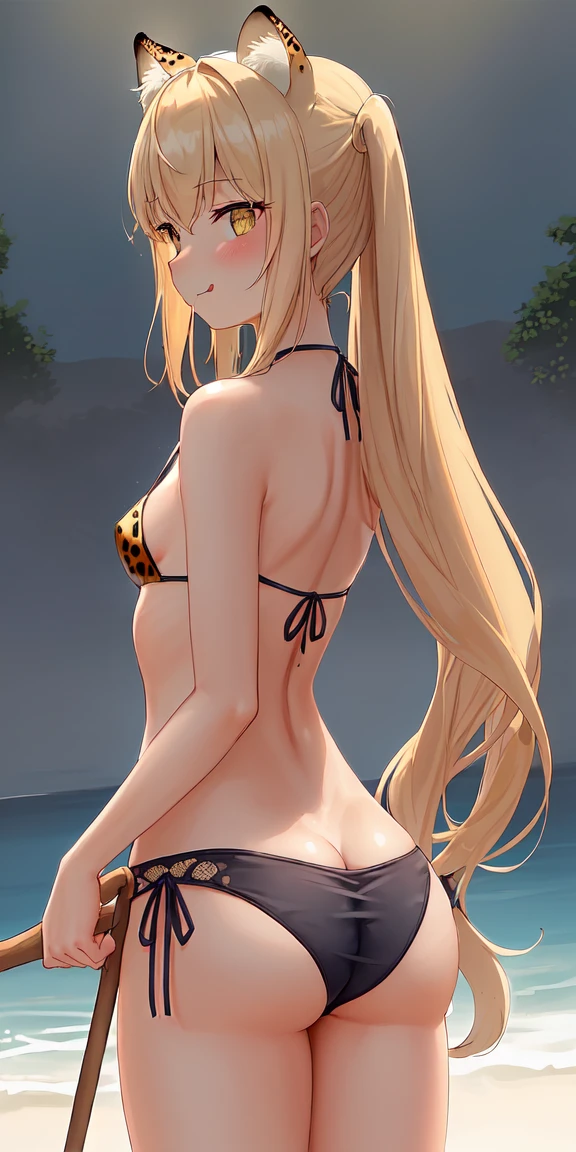 (((professional: Step by step, Taking into account even the smallest details, God-level end result, Intricate details throughout the body, Solo 2girls, cowboy shooting))): "Hot 1girl, hot cheetah, Cheetah ears, Cheetah tail, Cheetah motif, Wet perfect body, (((medium breasts))), in savanna, Fishing net bikini, Stick out your tongue because of the heat, sun, Rear lighting, random location, Random side and angle views"