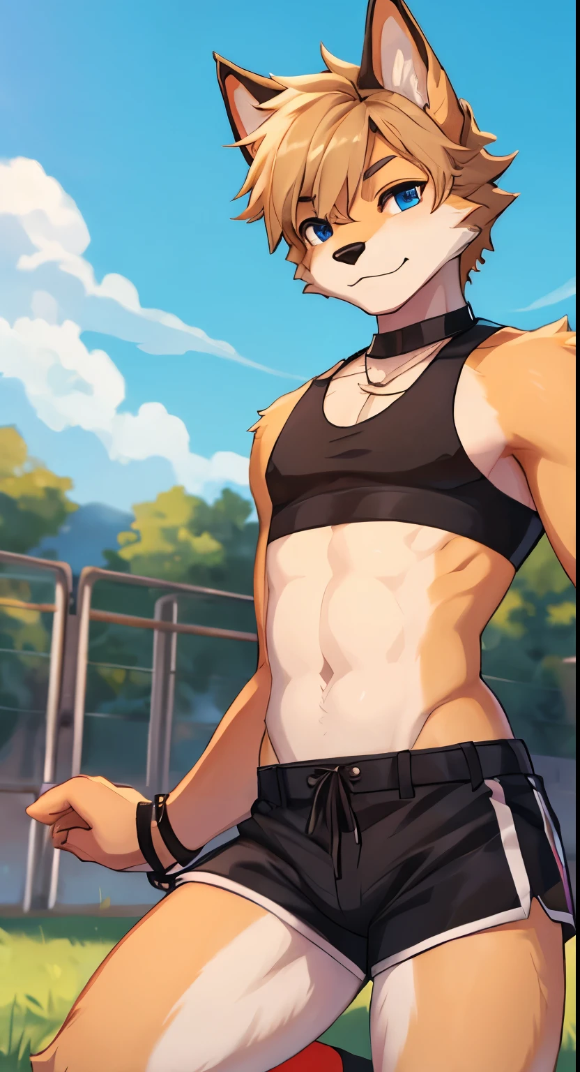 A boy in crop top, a young dog furry boy in crop top.