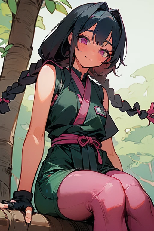 (Masterpiece: 1.5, best quality, high resolution: 1.3, super resolution, super detailed, ultra detailed: 1.3, rich background: 1.2, 1 girl)) pink eyes + long black hair with pink tones + hair in a two braids + body feminine + medium chest + medium hips + thick thighs (sleeveless bodysuit, long-sleeved haori, small bags tied from her hips to her thighs, loose shorts, ninja shoes, fingerless gloves) ((smiles, sitting on a branch of a tree, lighting of the sun, ninja girl from naruto)) (colors for clothing and accessories: white, black, aquamarine green, brown)