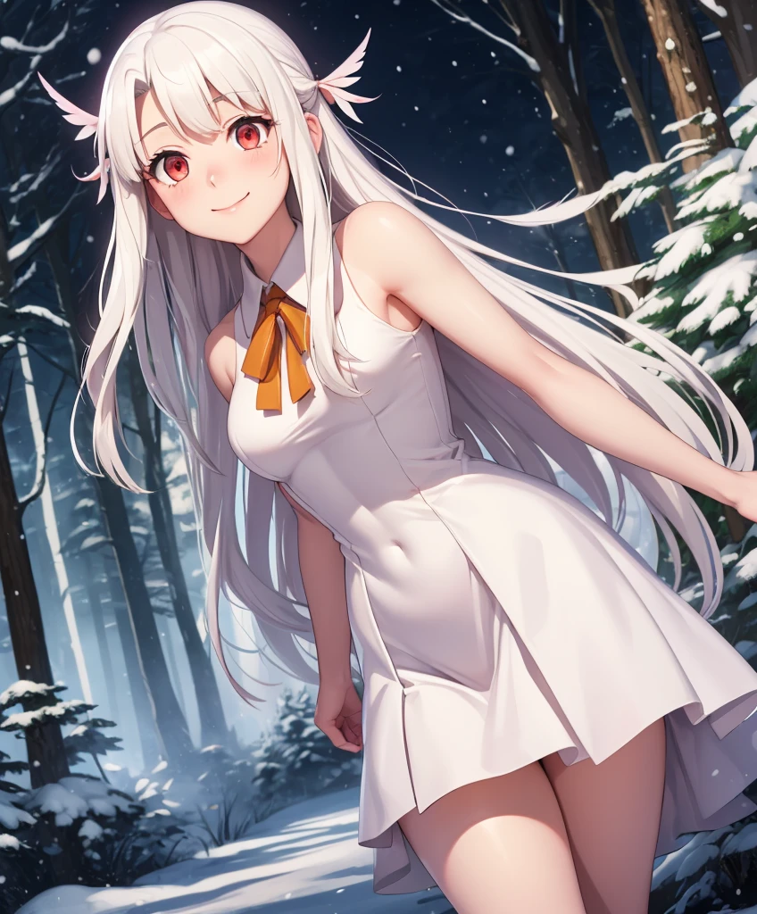 best quality, (masterpiece:1.2), very detailed, faay background, (night:1.4), forest, snowing, illyasviel von einzbern ubw, 1girl, alone, standing, looking at viewer, mouth closed, smile, long hair, white hair, red eyes, white dress,