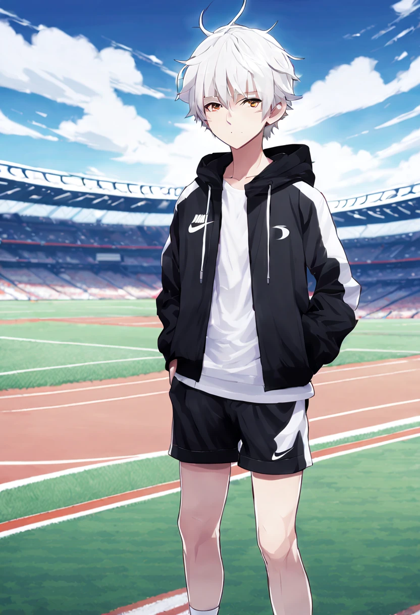masterpiece,best quality,full body character,
boys,sports student,Handsome boy,,anime characters,animal ears,white hair,Upper body black Nike jacket,White short sleeves,Black compression pants on legs,Wearing black shorts,white sneakers,standing posture,Face clear on sports field background