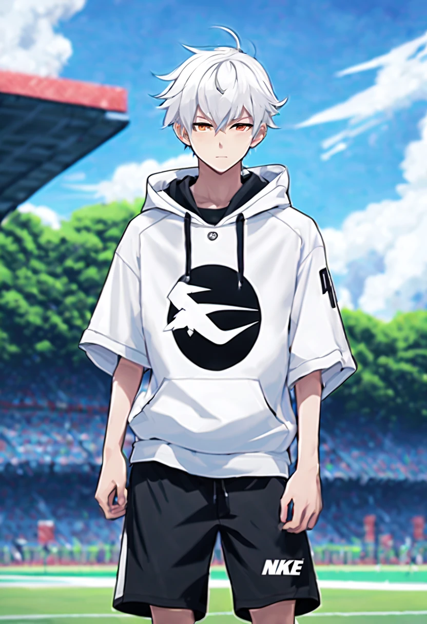masterpiece,best quality,4k quality,full body character,
boys,sports student,Handsome boy,15 years old,anime characters,male focus,animal ears,white hair,Upper body black Nike hoodie,White short sleeves,Wear white three-quarter shorts,Black mecha shoes,standing posture,Face clear on sports field background