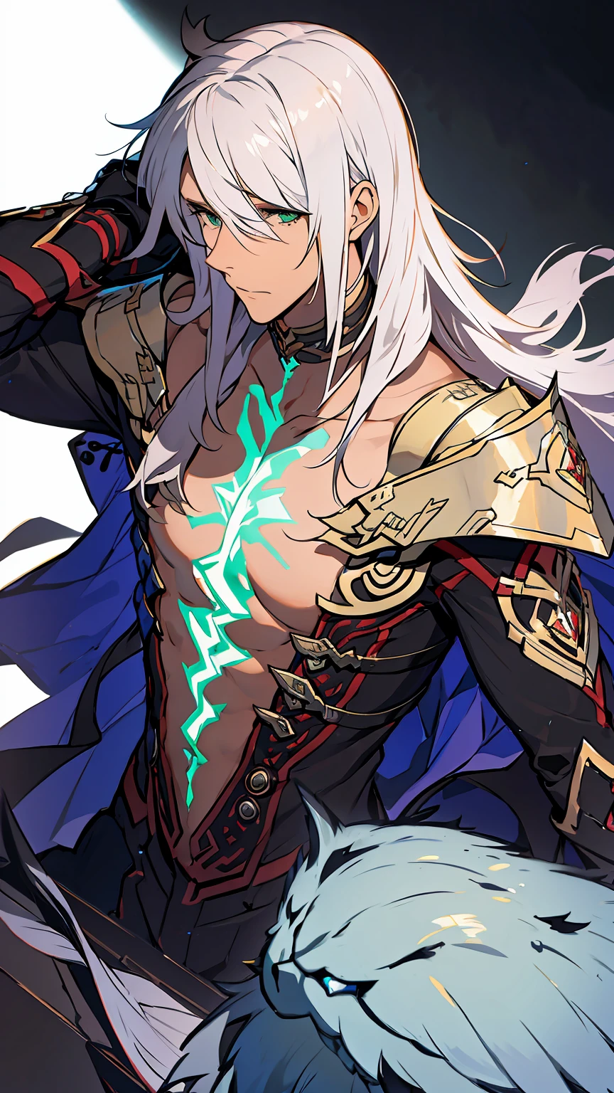 ***ung man,solo,gray hair,long hair,green eyes,(best quality:1.2),(masterpiece:1.2),(ultra-detailed),anatomically correct,vivid colors,sharp focus,moolight,studio lighting,confident expression,stylish,at the ruins