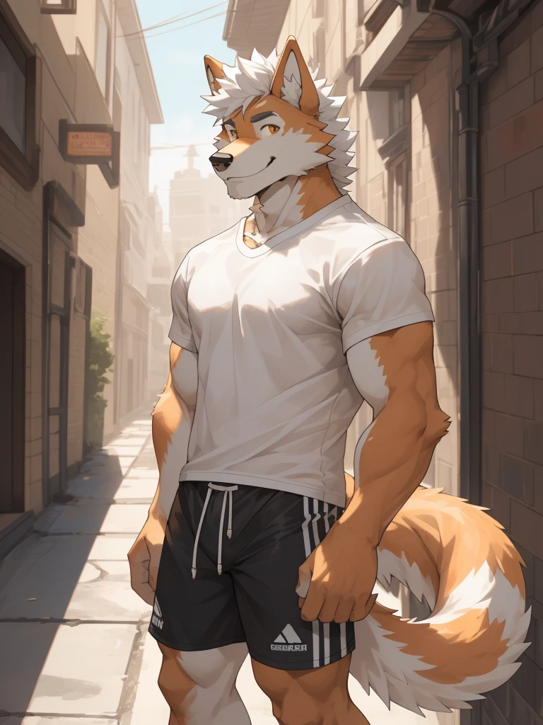 1man,Correct body structure,Correct finger structure,Correct pupil structure,single person, orange fur, wolf, White t-shirt, white hair, smile, brown pupils, nj5furry, In the backstreet, Athletic shorts, curly tail, dog tail