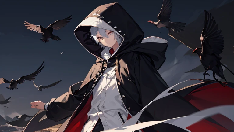 man wearing a hood、has a big sickle、brown skin、white eyes、glaring eyes、whole body、one person、Less muscle、Crows are flying around