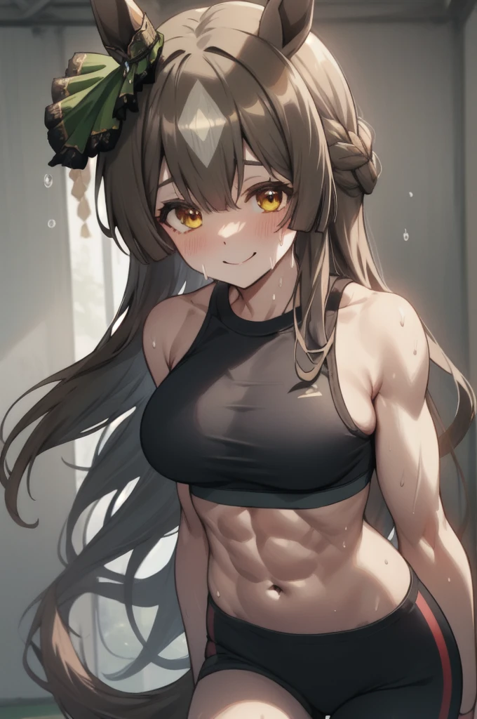 satono diamond\(umamusume\), (ultra-detailed face), symmetrical face, beautiful face, masterpiece, best quality, sports bra, horse tail, smile, sweat, gym, muscle, abs, large tits, training