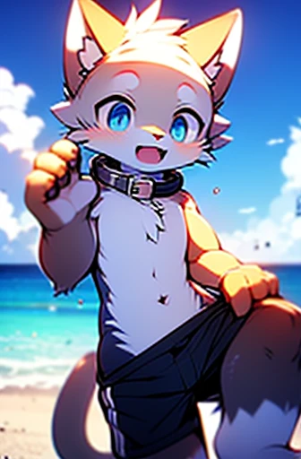 Purple fur,dark blue hair,light blue eyes,Eyes are bright,delicate skin,fine hair,hairy的尾巴,exquisite eyes,Blue-purple soft short cat ears,hairy,blue eyes,Handsome,Lovely,Cat style,Shota,blue pupils,A teenage blue kitten,Covered in blue fur,Topless,Skinny super shorts,collar,shy,open mouth,abdominal muscles,Pants bulge,exposed belly,Mouth open and panting,barefoot,Pink meat pad,outdoor,seaside,Lovely,shorter pants,Reach down,Sunny